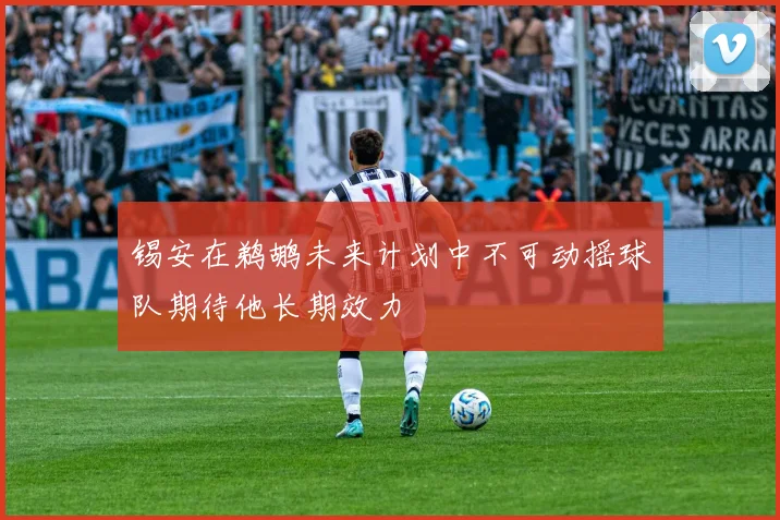 锡安在鹈鹕未来计划中不可动摇球队期待他长期效力